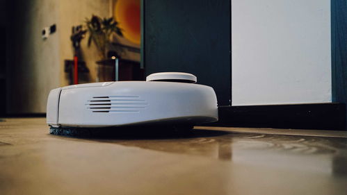 告别保洁烦恼 从新年大扫除到日常维护的得力助手推荐